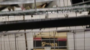 30.11.2025г Выставка г Воронеж ч.6