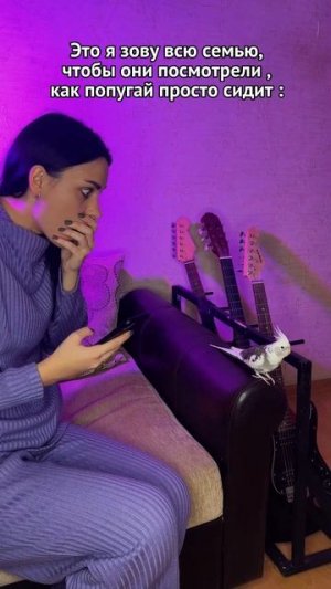 Любите попугаев?