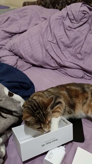 моя прелесть смотреть онлайн