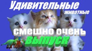 Юмор юмор юмор смешно !!! #юмор #развлечения