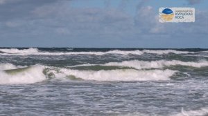 Куршская коса: 25 лет под охраной ЮНЕСКО