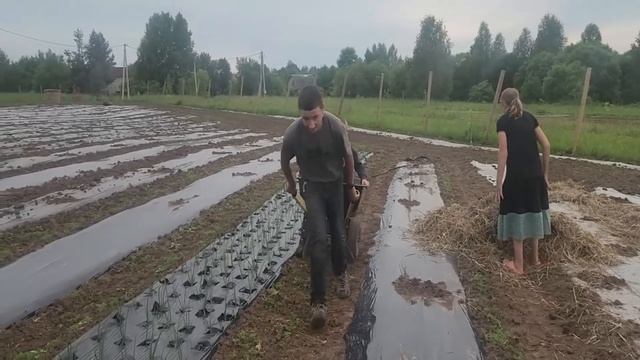 Ep.271 Smart Gardners (Russian Subtitles) смотреть онлайн