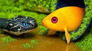 Золотая рыбка и волшебный арбуз! Внутри яйца-радуга 🌈 / Stop Motion ASMR