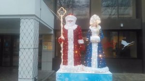 VID_20251201_144642.mp4