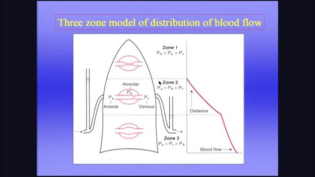 West 6 лёгочный кровоток