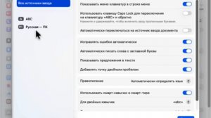 Точки и Запятые в Mac OS