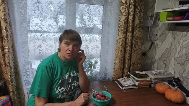 Посадила лук ,домашние дела,приходила свекровь . смотреть онлайн