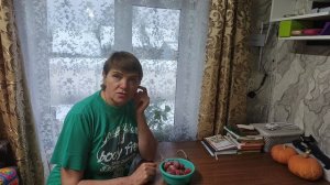 Посадила лук ,домашние дела,приходила свекровь .