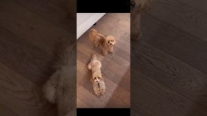 Жидковский  сторис😎