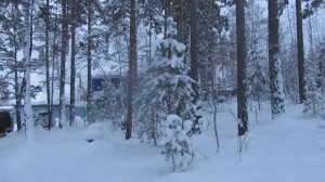 Пришла к нам Зимушка-Зима!