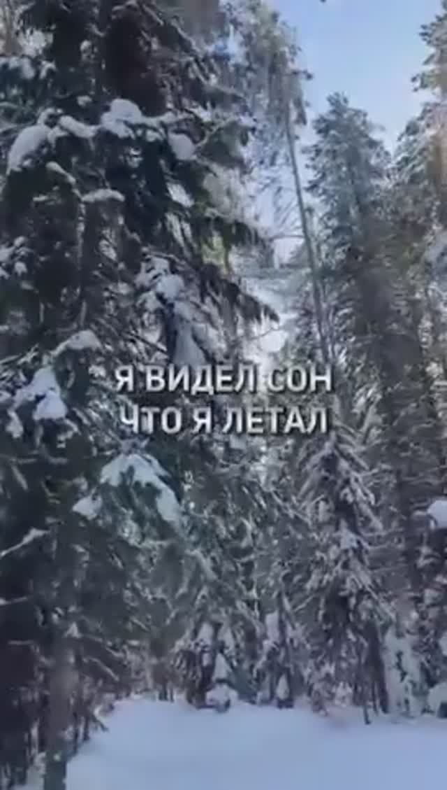 🙏Я видел сон что я летал... смотреть онлайн