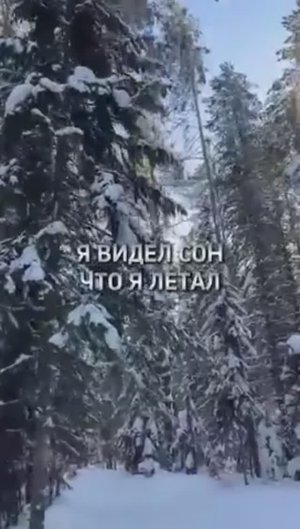 🙏Я видел сон что я летал...