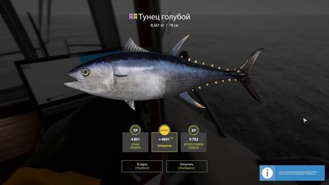 Охотники за хвостами • Челлендж на Тунца • Русская Рыбалка 4 • Норвежское Море смотреть онлайн