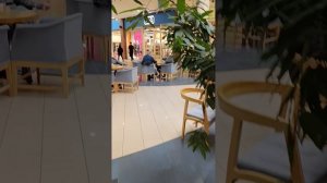 я помню. чудное мгновенье. передо мной явилась ты.