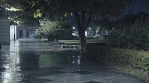 Звуки дождя, которые мгновенно заставят вас заснуть ☔ Помощь для сна, Успокоение ума