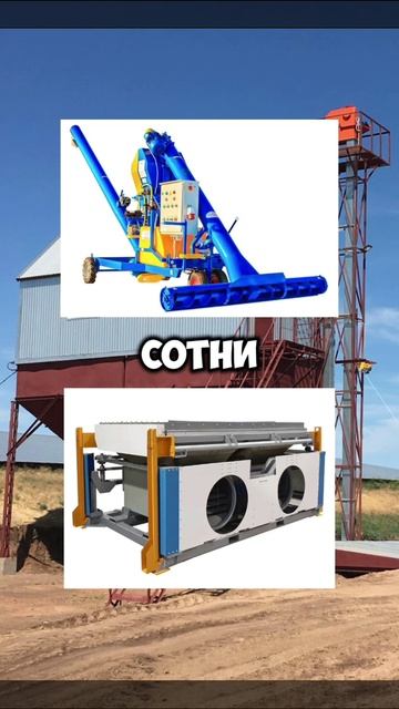 Как получить чистые семена, дружные всходы и увеличить урожайность