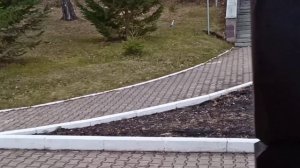 Санаторий Якты-Куль. День второй.