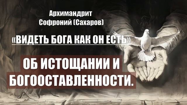 Архимандрит Софроний (Сахаров) - ВИДЕТЬ БОГА КАК ОН ЕСТЬ. Глава 11. Об истощании смотреть онлайн