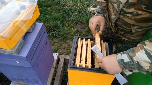 Как Стартуют Пчёлы на Кубани!!! смотреть онлайн