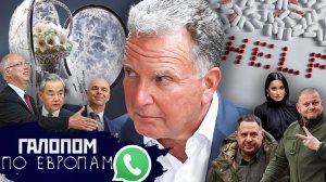 Зять в Кремле, Залужный в Киеве, Безумные качели // Галопом по Европам #1478