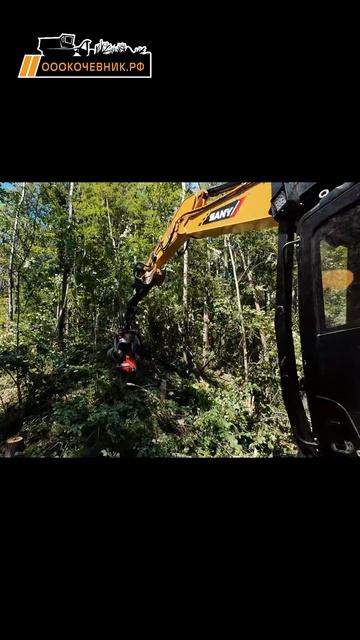 Ключевая техника в деле валки леса - харвестер смотреть онлайн
