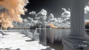 Scarlet Fantasy