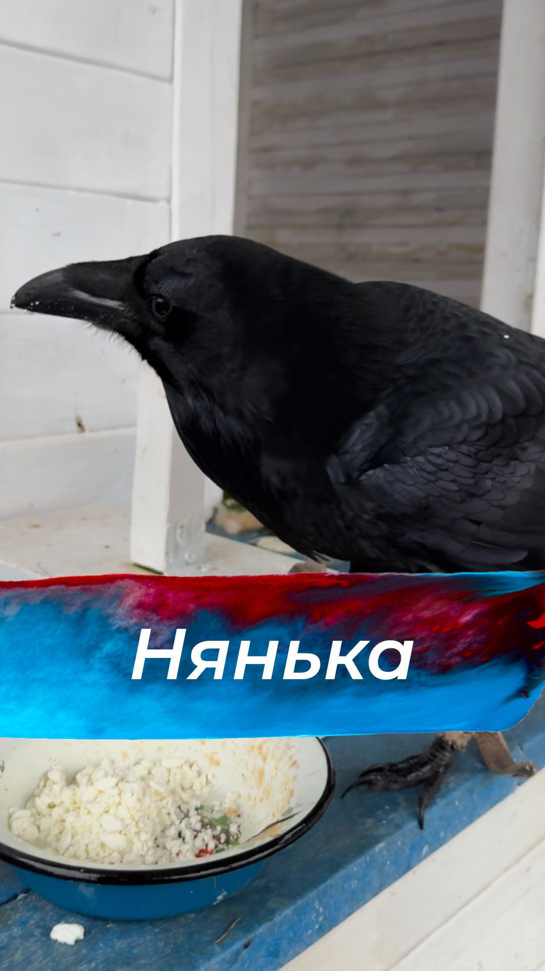 Интересное тут: смотреть онлайн