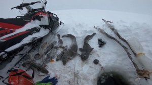 Рыбалка на Енисее! Спасение утопающих...