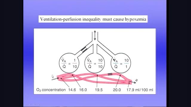 West 8 Газообмен в легких 2