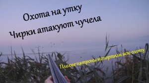 Охота на утку. Чирки атакуют. Плохие патроны испортили охоту