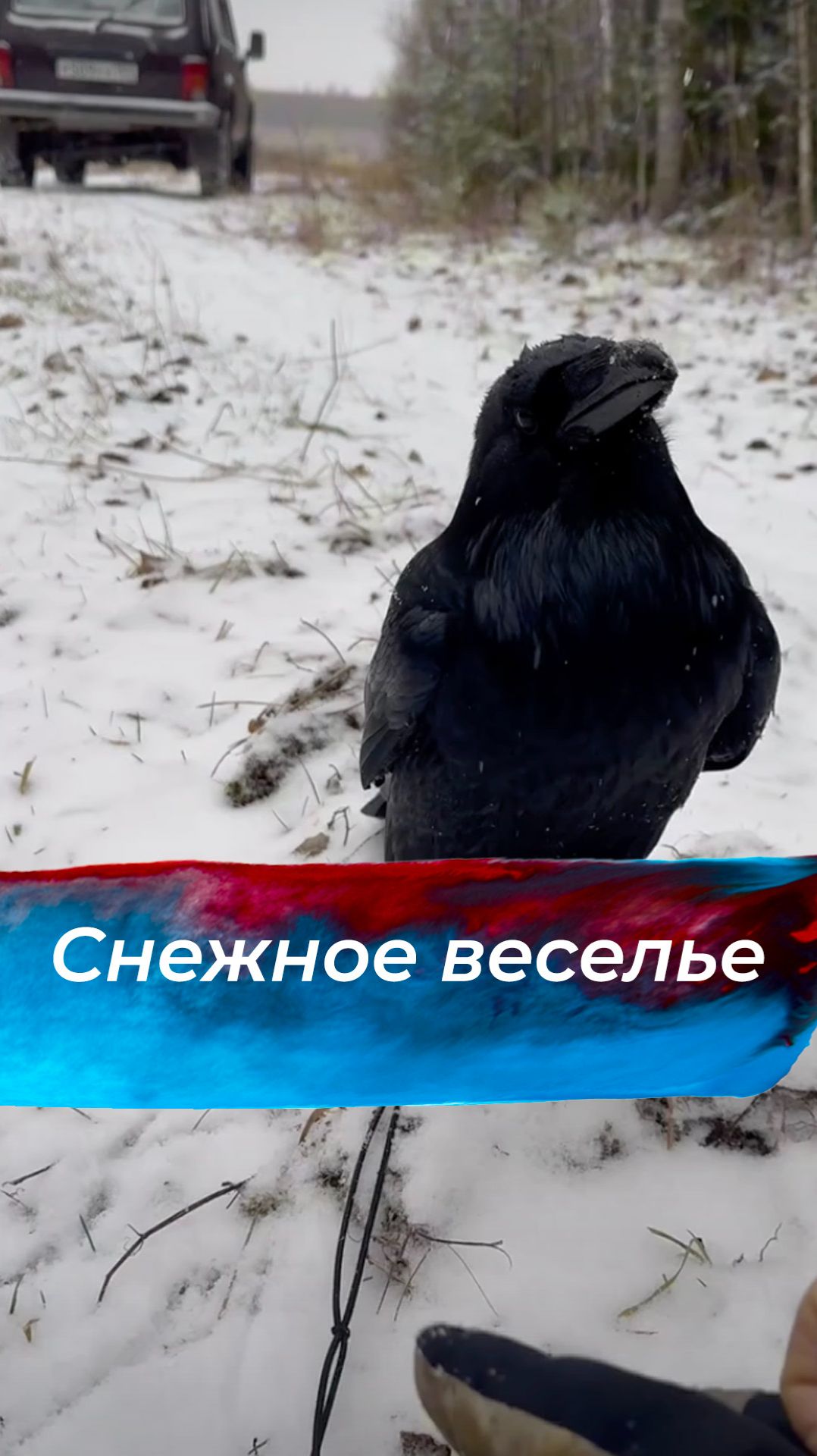 Снежные забавы смотреть онлайн