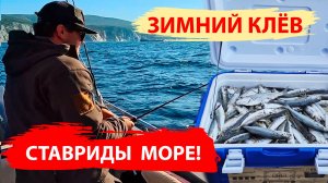 Ставрида клюёт как из пулемёта! Рыбалка на море. Зима. Кабардинка.