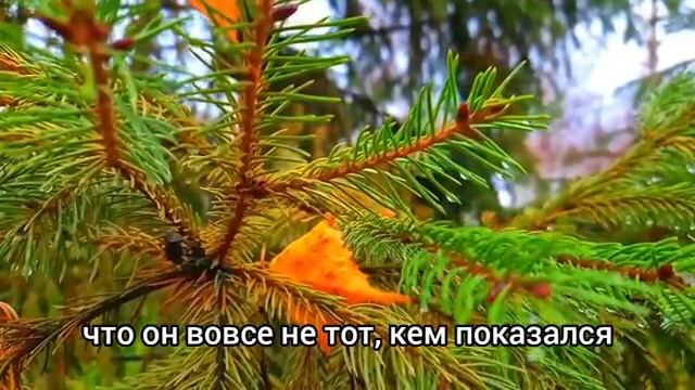 Выйдя из душа Алина услышала телефонный разговор мужа с любовницей.Она придумала им месть... смотреть онлайн