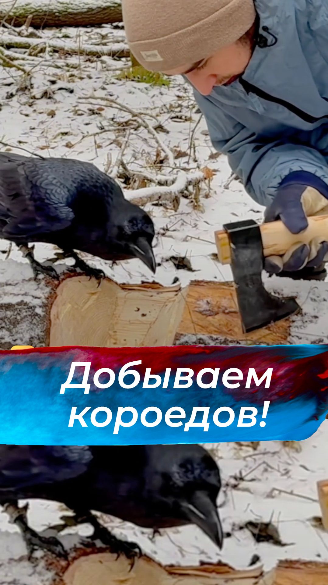 Разбираем бревно смотреть онлайн