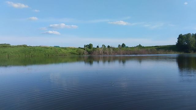 Наш пруд смотреть онлайн