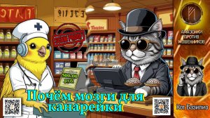 Кот Базилио. Нервирует птичек профессионально. Телефонное мошенничество