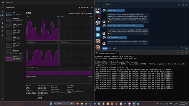 Minerva Test Chat 02.12.2025