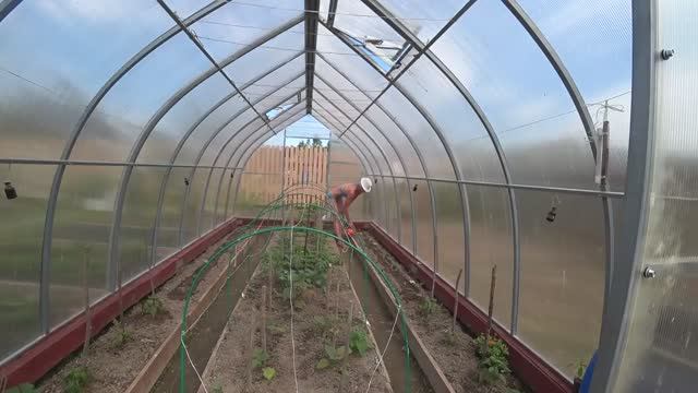 6 соток 19 мая 2021 год. . За продуктами в магазин на колесах. Рассадила огурцы смотреть онлайн