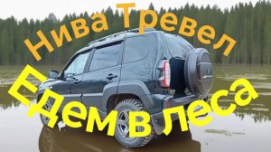 Нива Тревел /// Еду в лес, искать проезд...