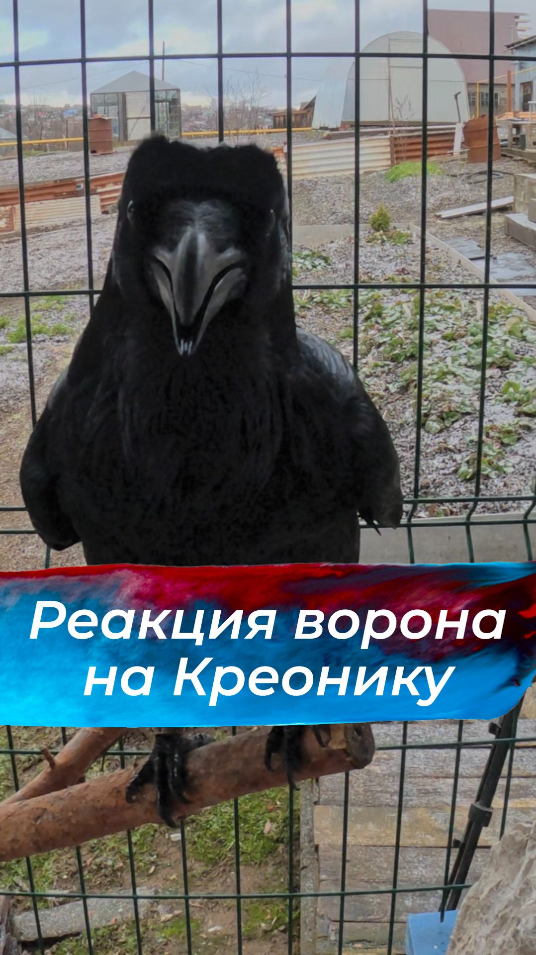 Подробнее тут: смотреть онлайн