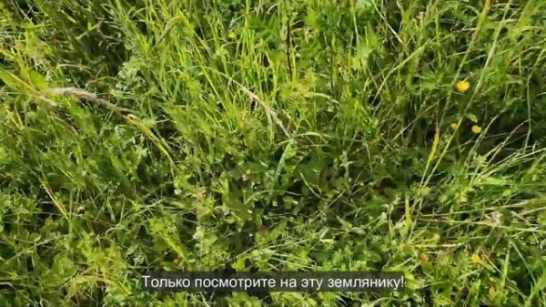 Ep.285 Community Building (Russian Subtitles)