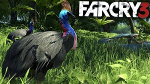 ЖЕЛТОЗОБЫЙ КАЗУАР | ПУТЬ ОХОТНИКА НА РЕДКОЕ ЖИВОТНОЕ | ПРОХОЖДЕНИЕ FAR CRY 3 БЕЗ КОММЕНТАРИЕВ