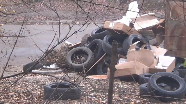 1 декабря 2025 года - мусоровоз уехал, мусор остался