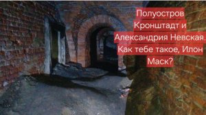 Полуостров Кронштадт и Александрия Невская. Как тебе такое, Илон Маск?