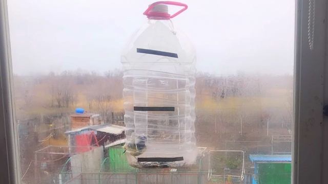 Кормление синицы и воробьёв 2 декабря под музыку