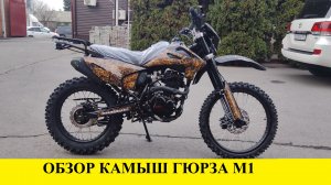 Обзор Гюрза М1 Камыш от Мотобазыбиз 89612934363