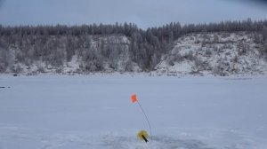 ВОТ ЭТО МОНСТРЫ!!! ПЕРВЫЙ ЛЕД НА РЕКЕ! Первый лед. Зимняя рыбалка.