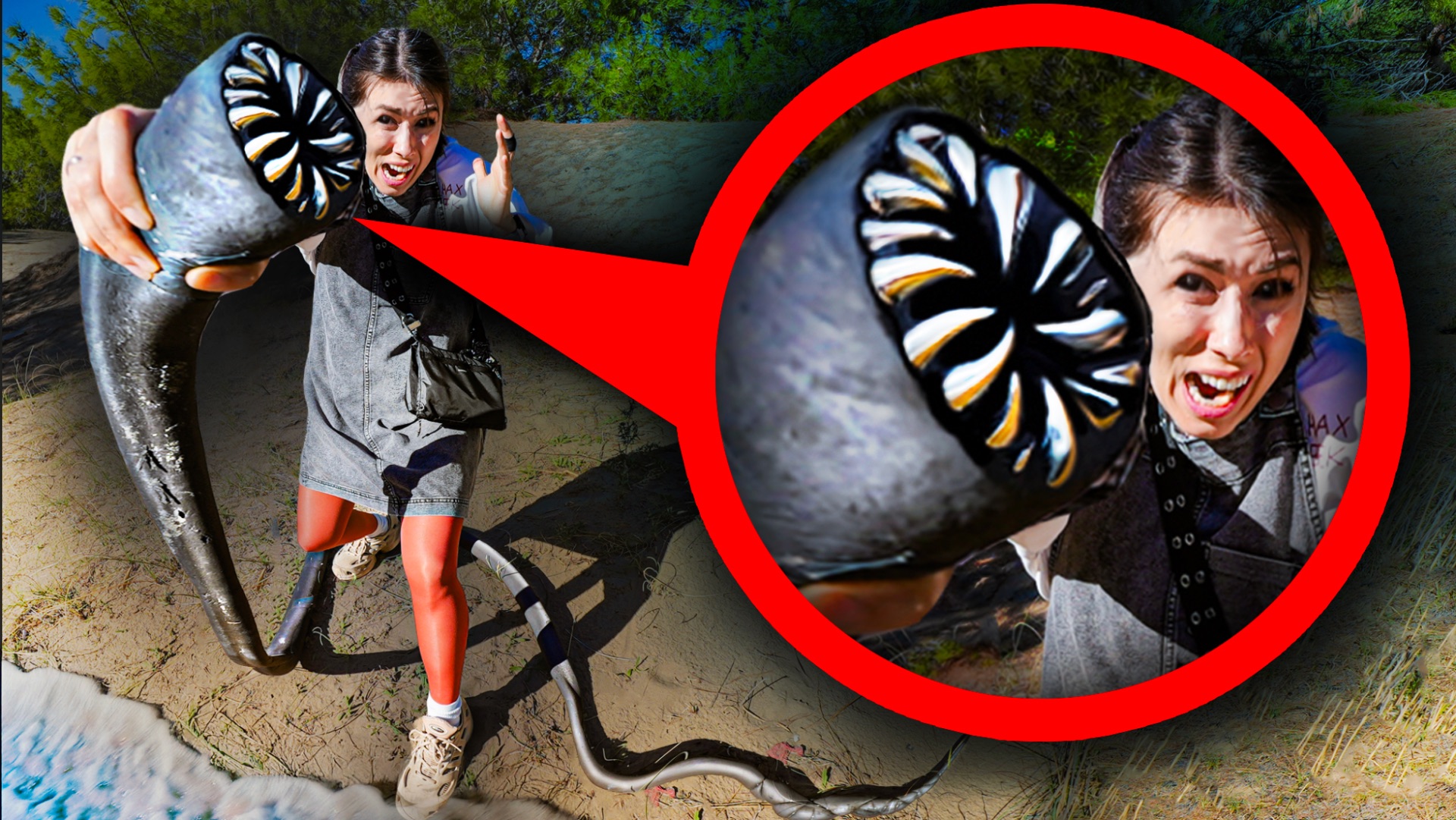 ОНО НАПАЛО - ЧЕРВЬ ПОЖИРАТЕЛЬ на ПЛЯЖЕ в ПЕСКЕ смотреть онлайн