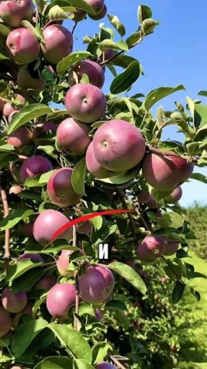 Полезно? Сохрани!