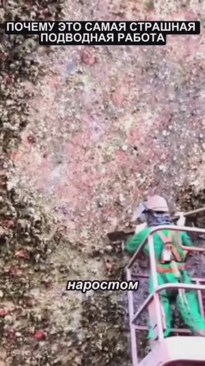 А вы пошли бы очищать корабль от ракушек?😨🫣